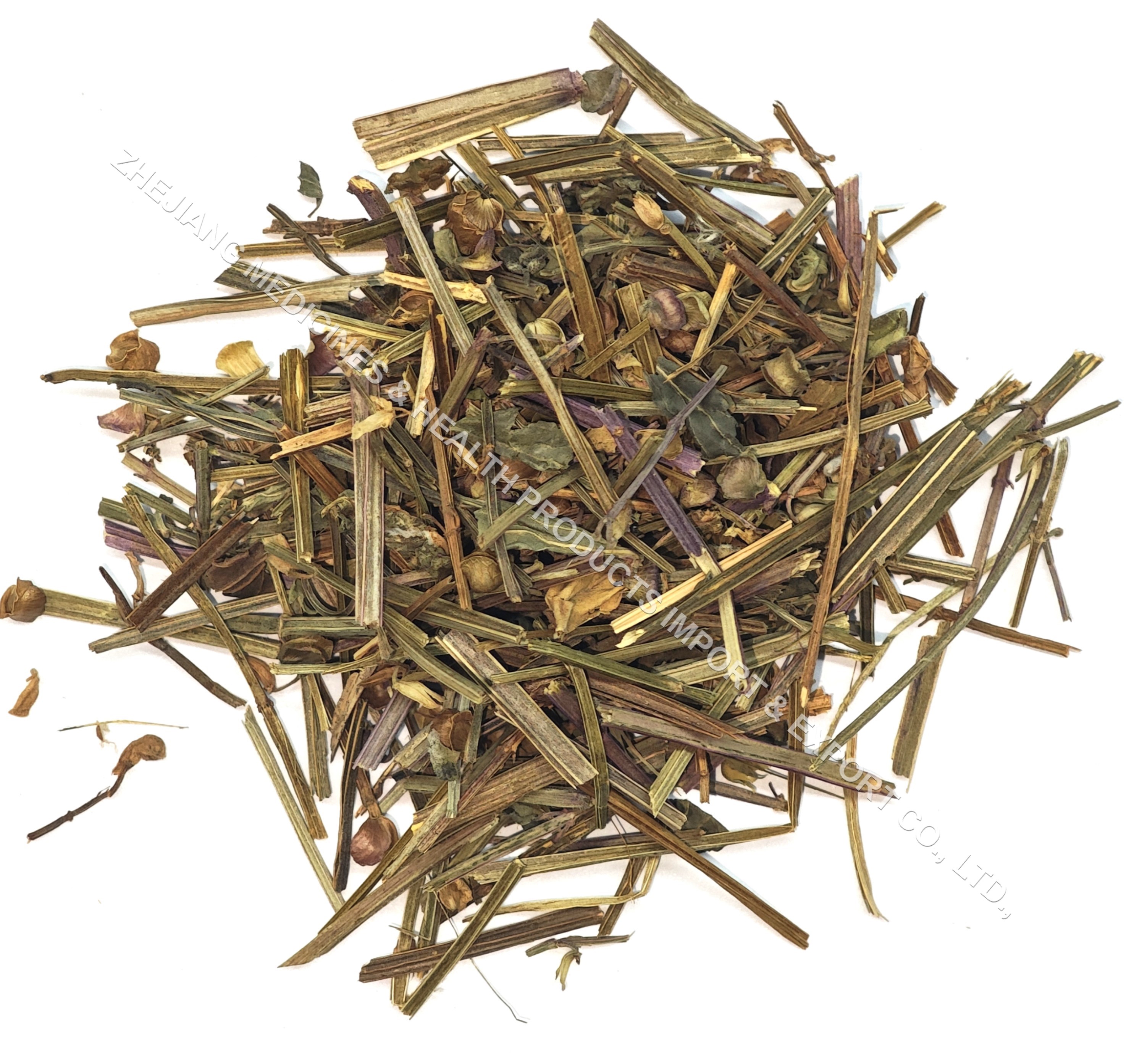 半枝莲-Barbated-Skullcup Herb.jpg