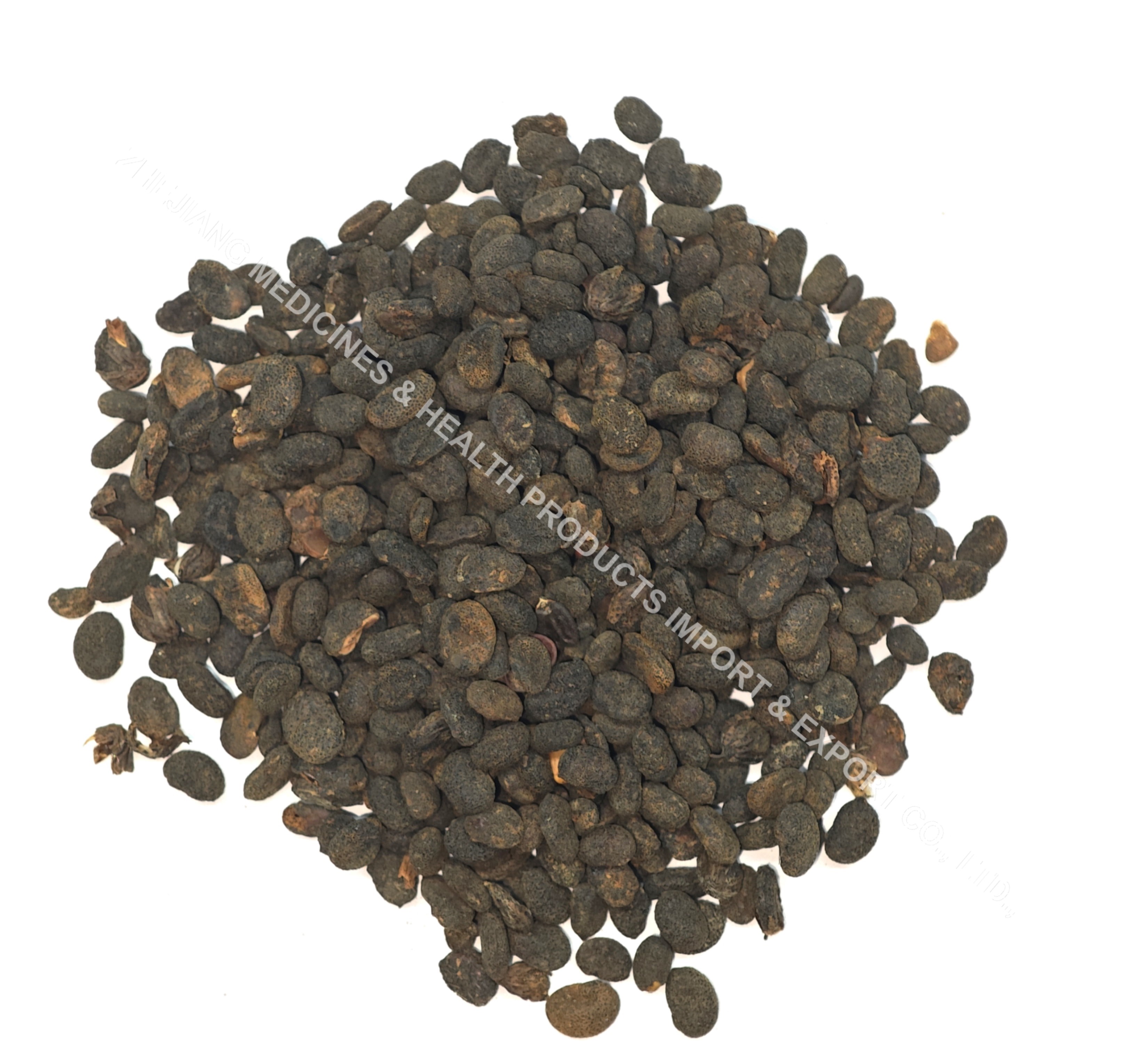 补骨脂-Malaytea Scurfpea Fruit.jpg