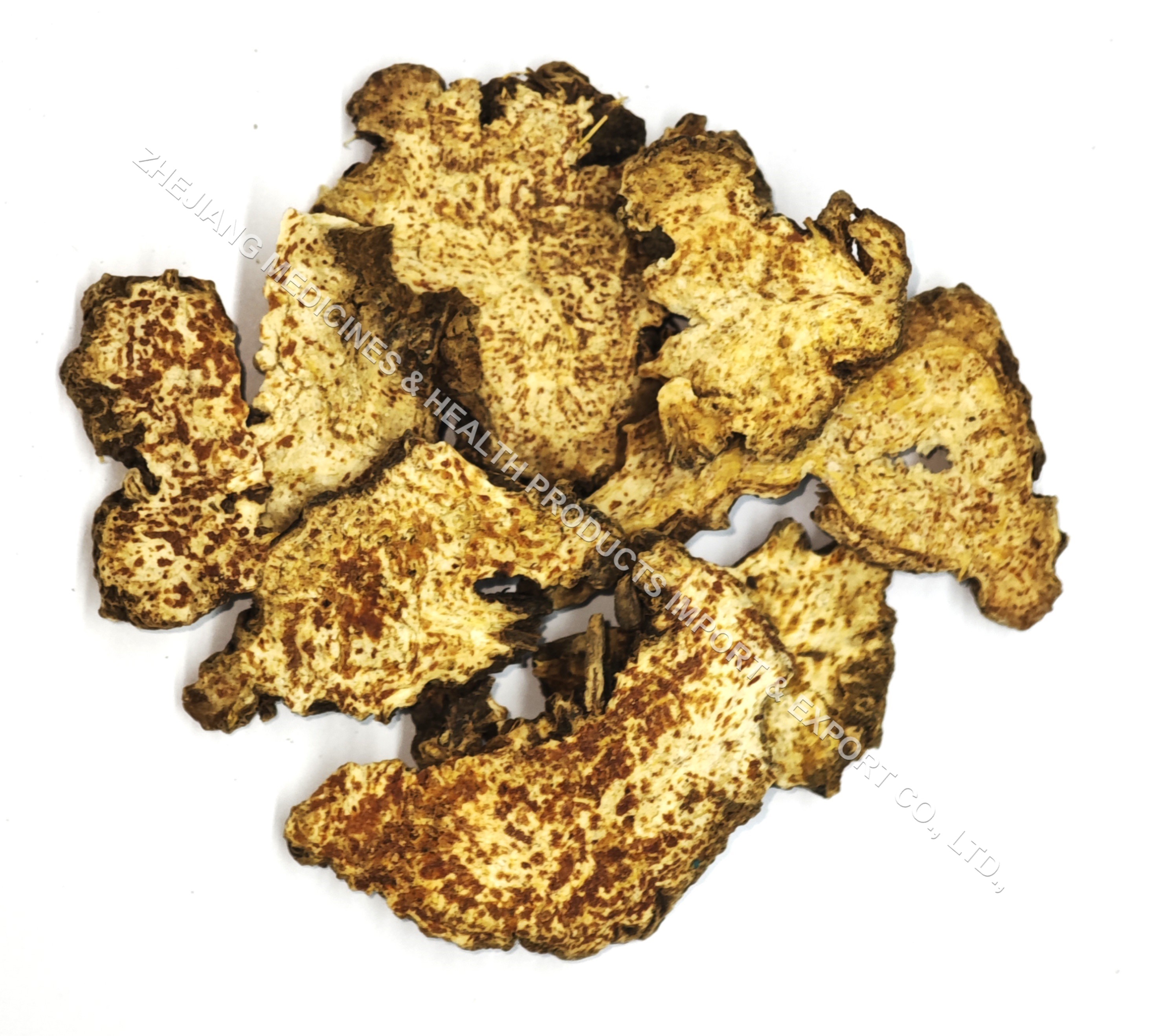 苍术-Atractylodis Rhizoma.jpg