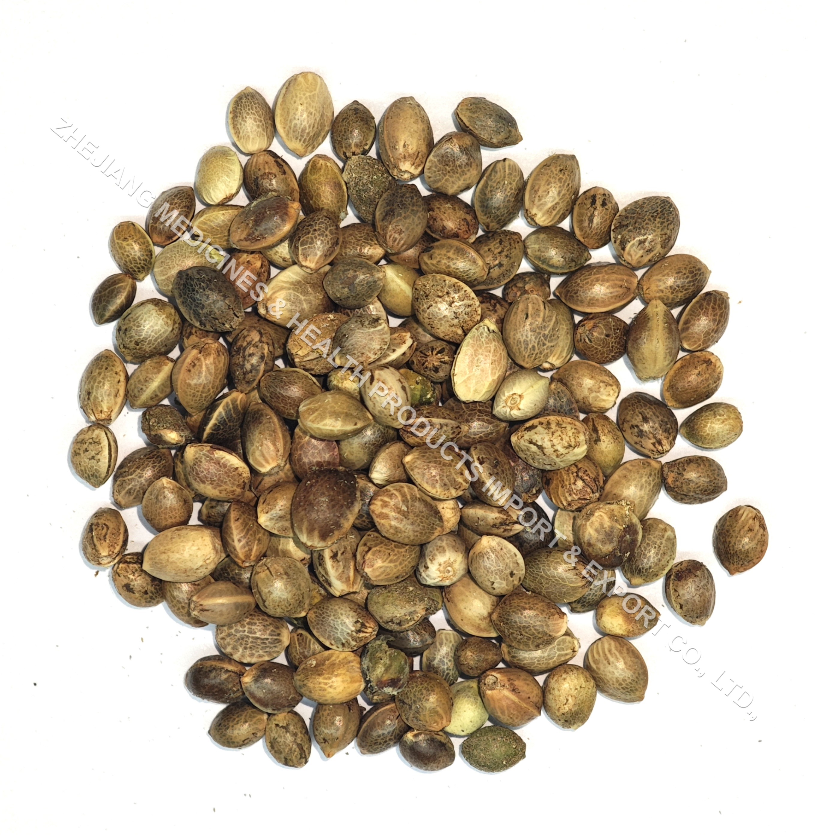 火麻仁-Hemp Seed.jpg