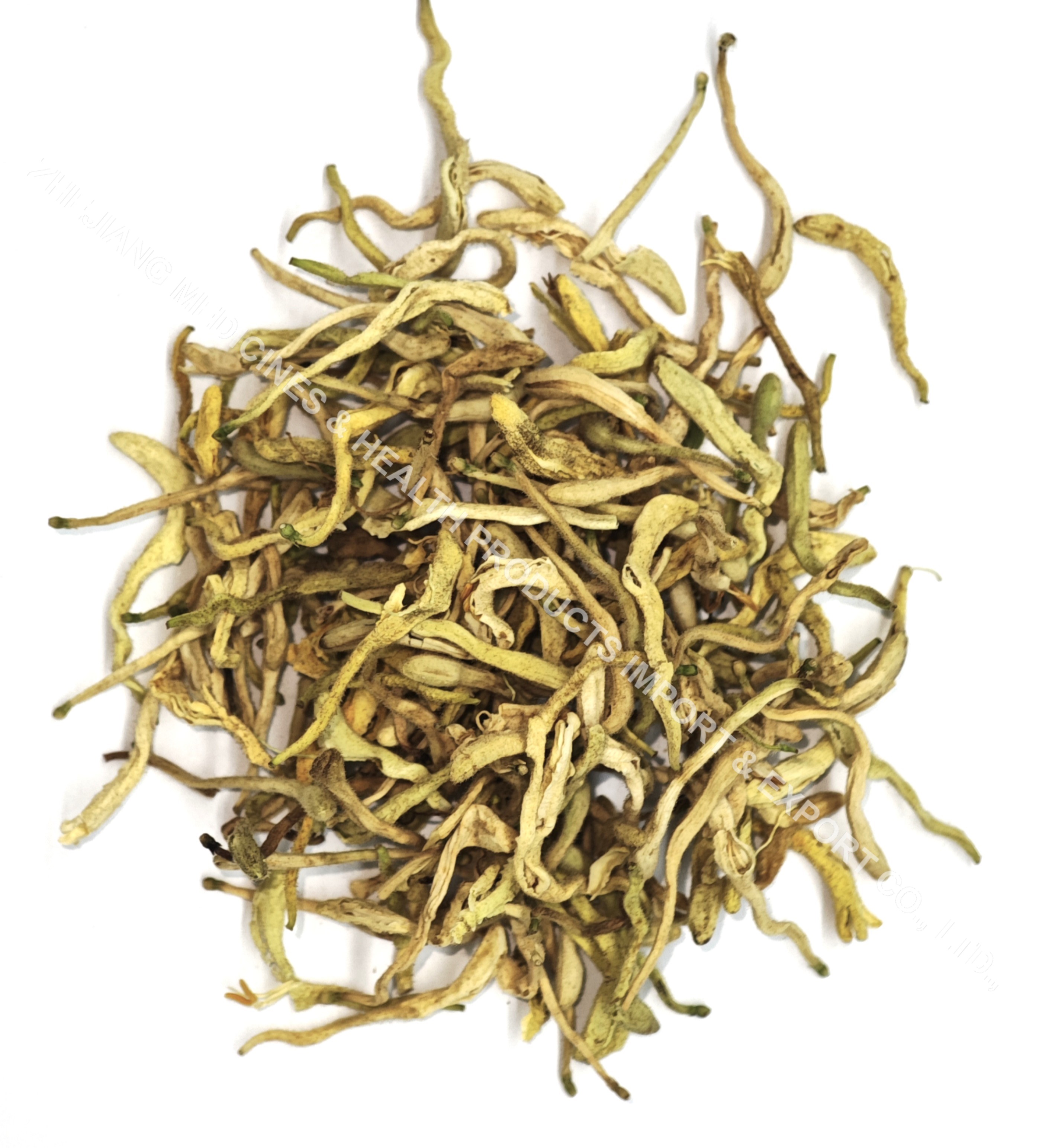金银花-Honeysuckle Flower Bud.jpg