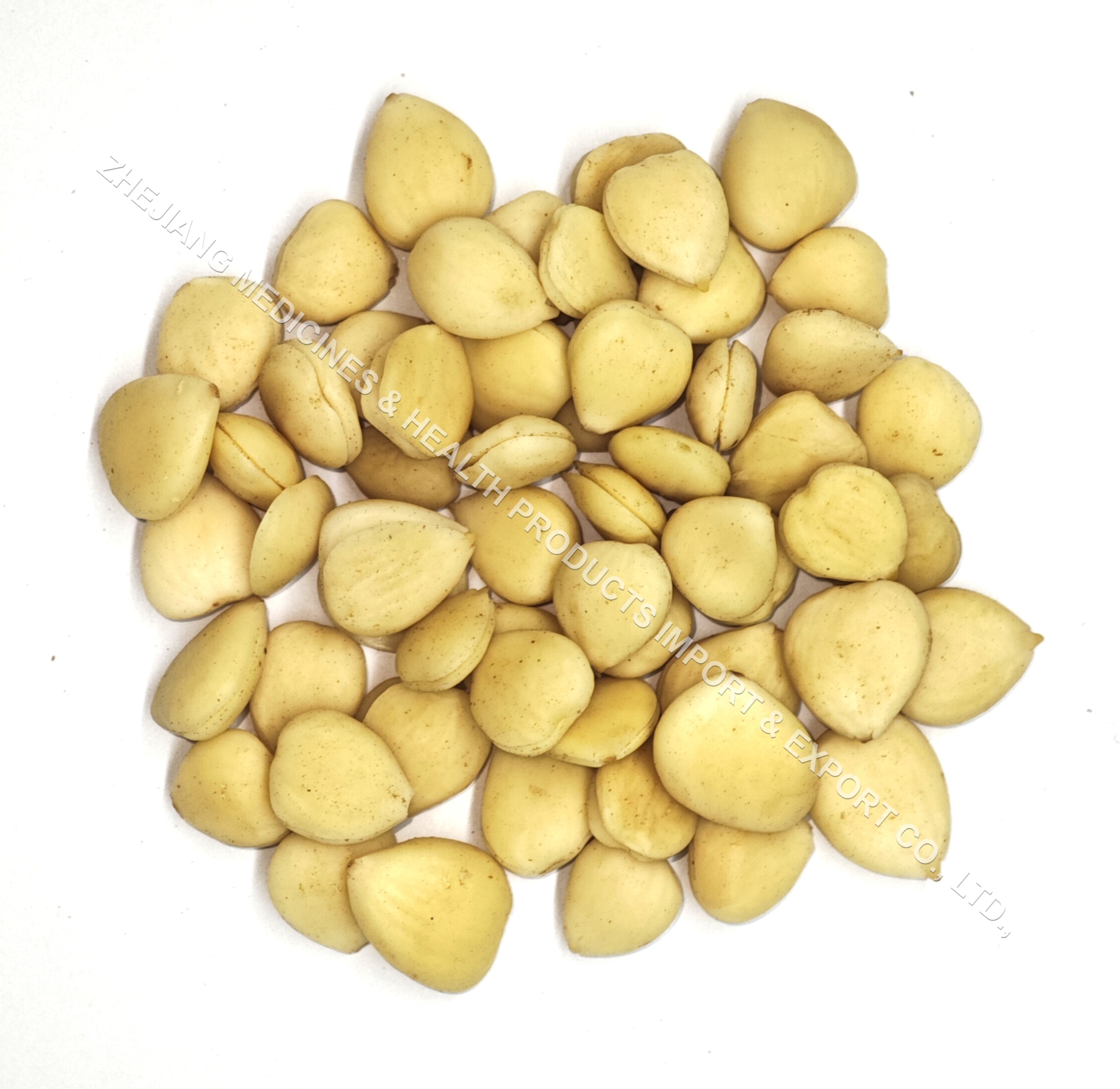 苦杏仁-Bitter Apricot Seed.jpg