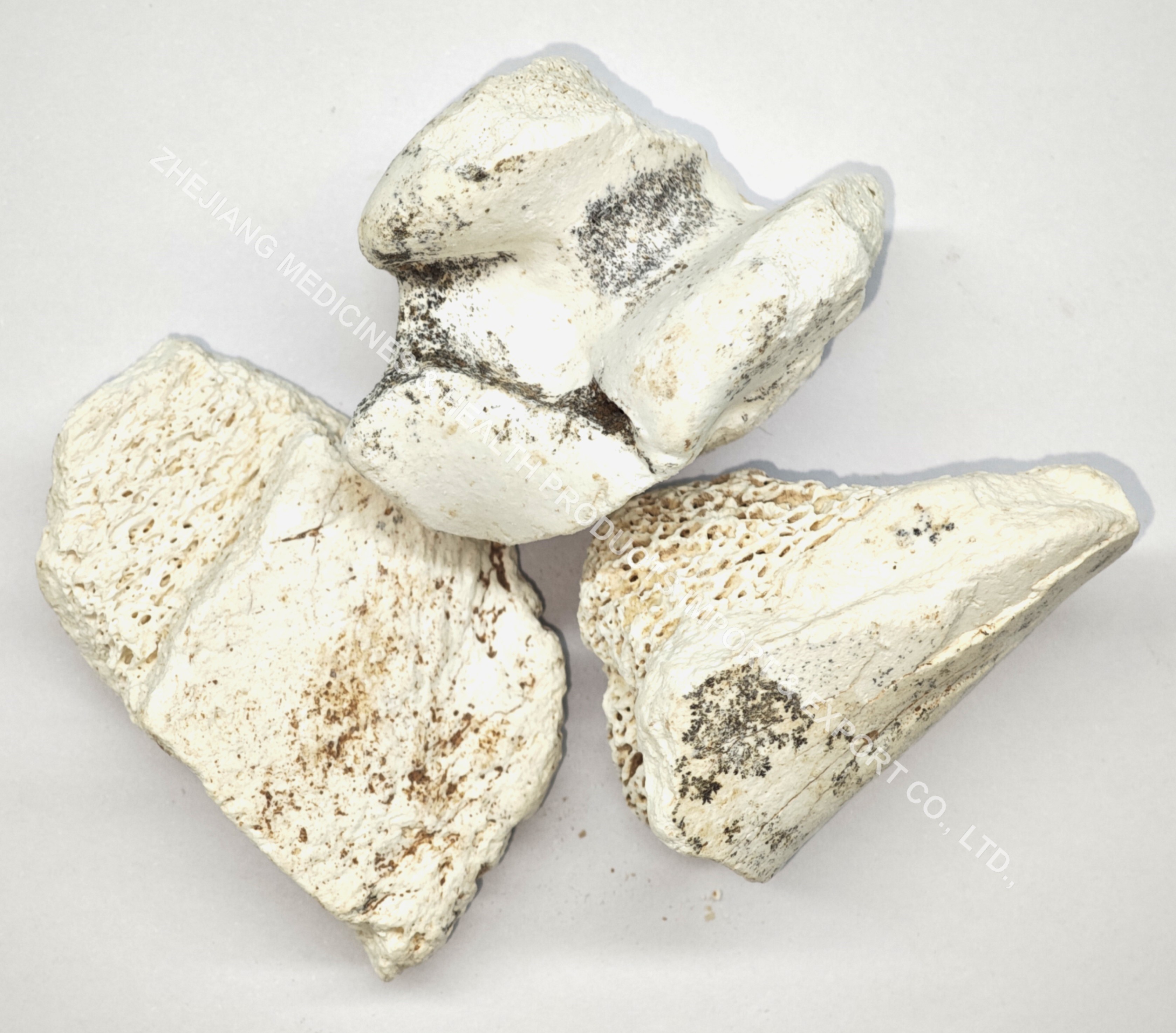龙骨