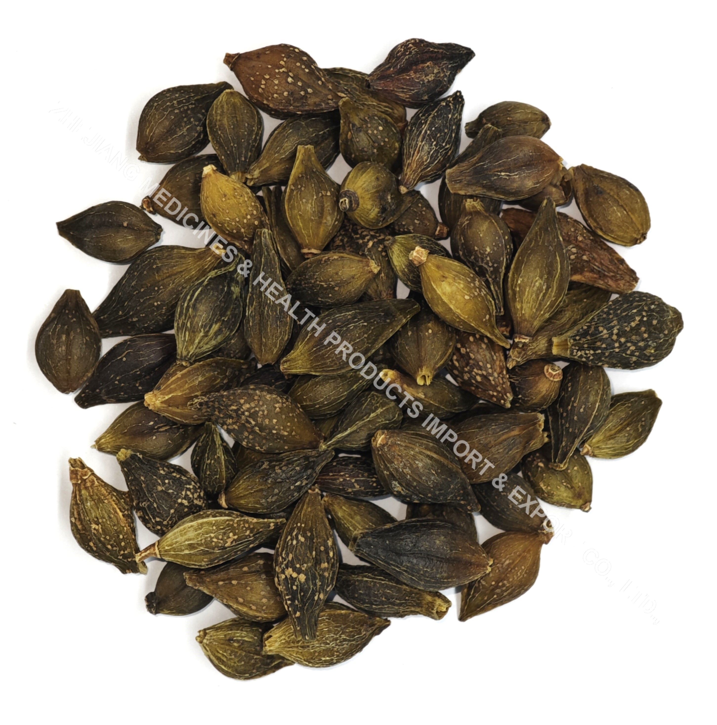 青翘-Weeping Forsythia Fruit.jpg