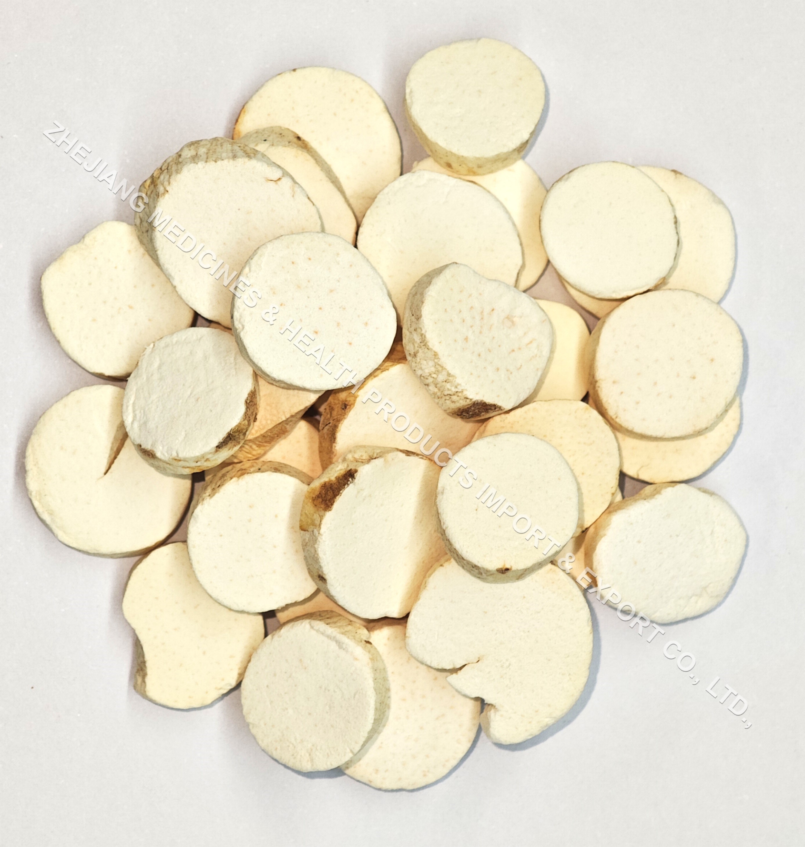 山药片-Common Yan Rhizome（Slice）.jpg