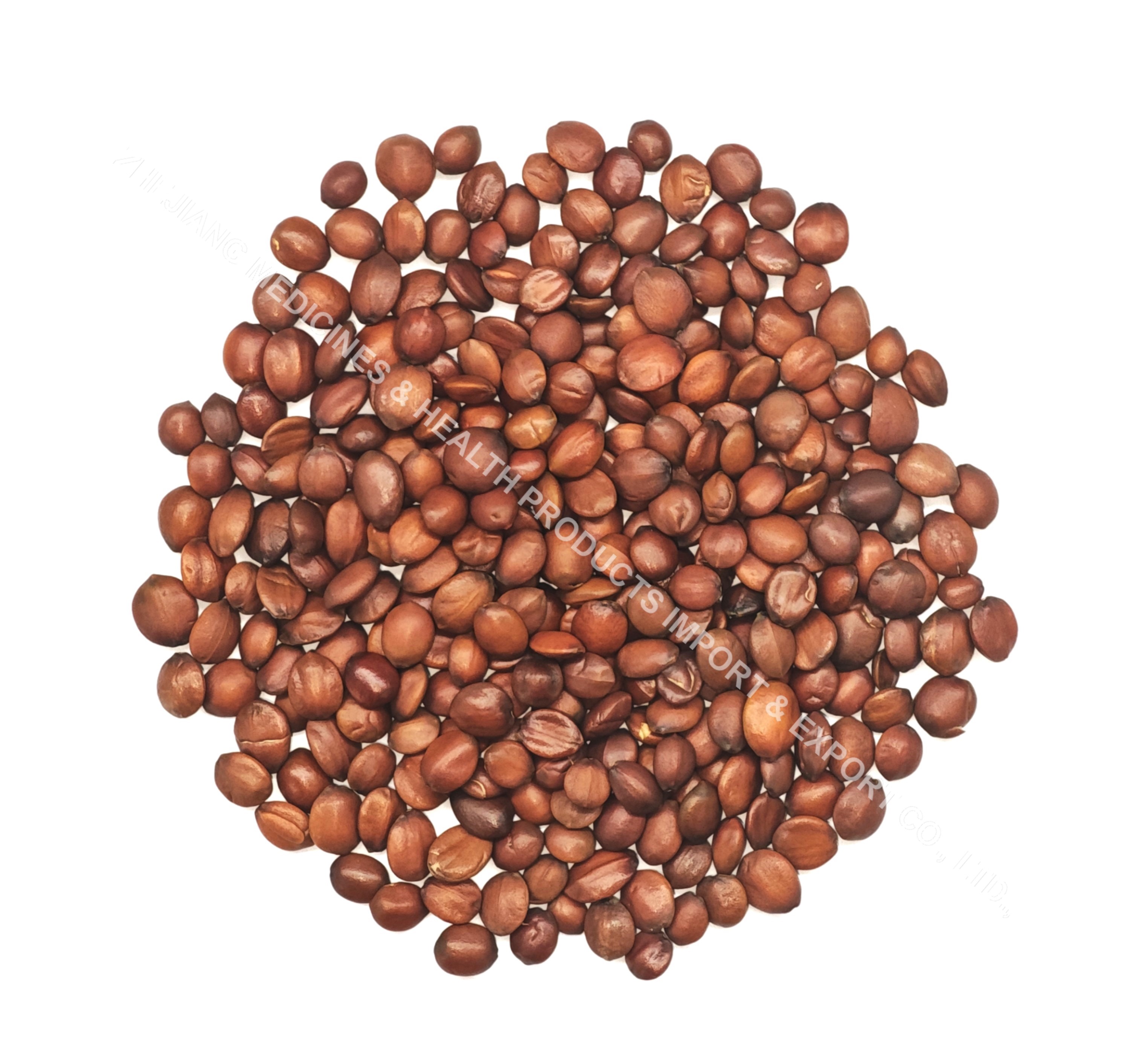 酸枣仁-Spine Date Seed.jpg