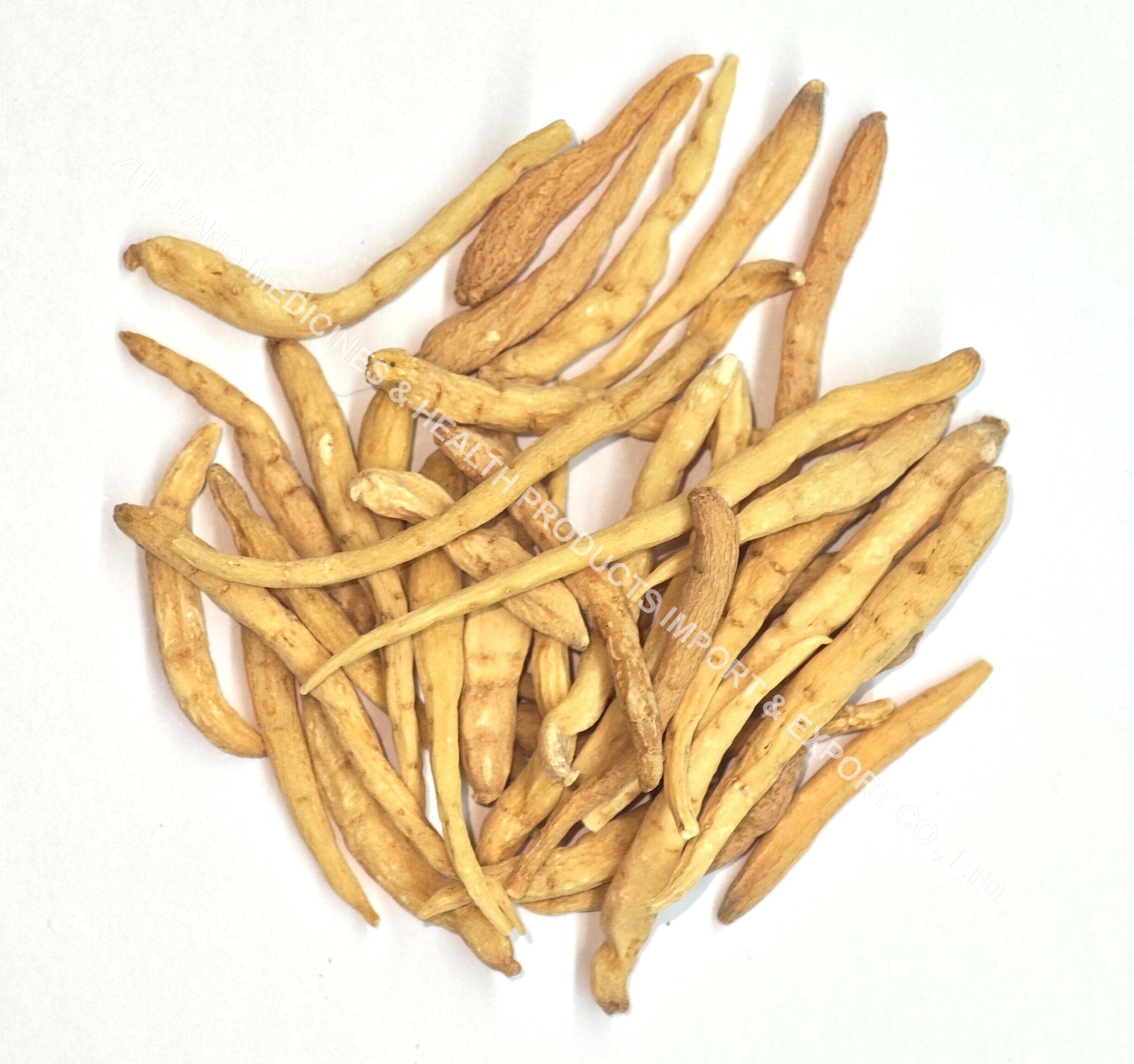 太子参-Heterophylly Falsestarwort Root.jpg