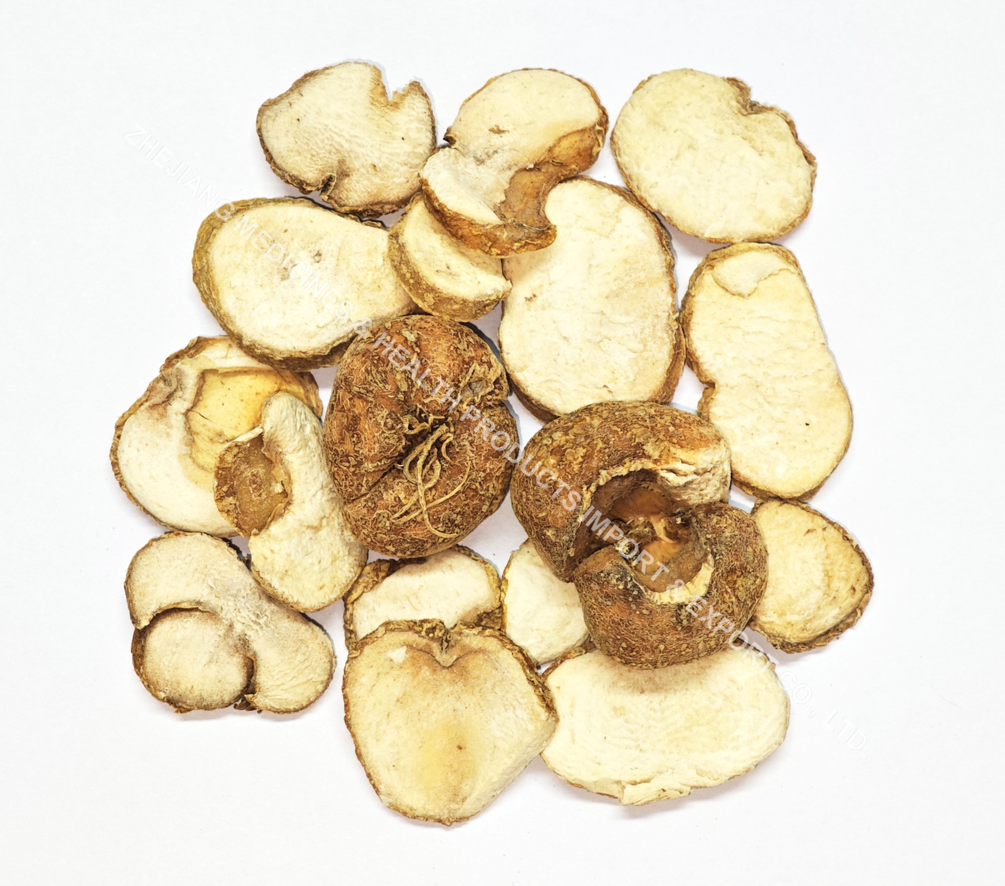 浙贝母-Chekiang Fritillary Bulb.jpg